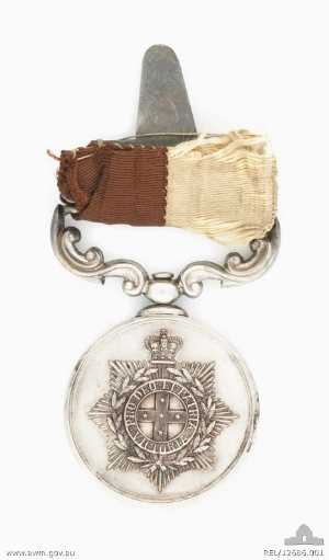Brassey medal.
